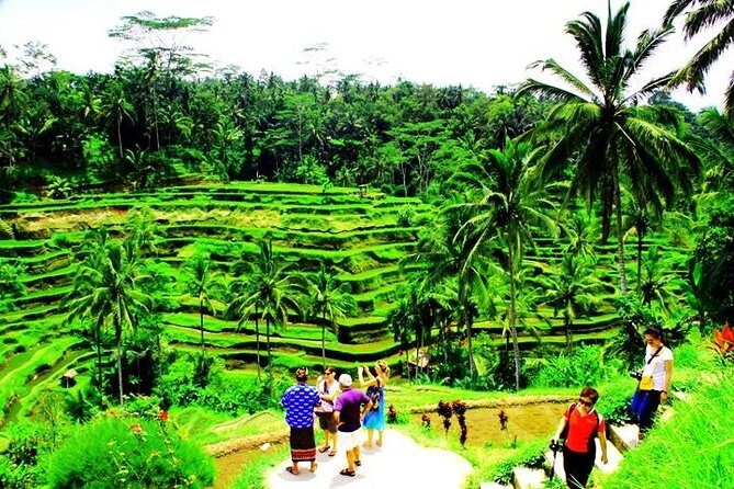 2 Days Best of Bali Famous Tour Packages - Key things that make this tour worth your time