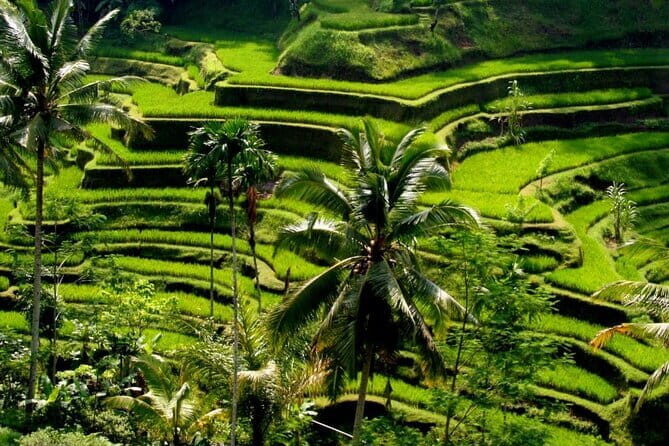 2 Days Mount Batur Sunrise Trekking With Private Ubud Day Tour - The Ubud Highlight Tour: What You Get After the Volcano