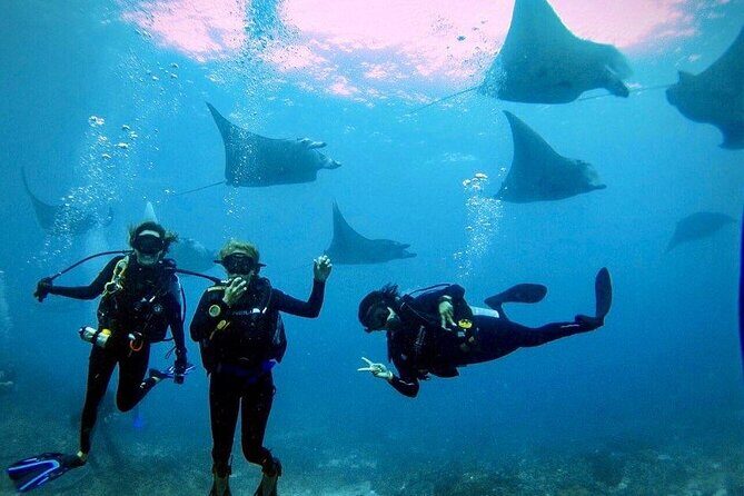 3 Epic Dives in Nusa Penida - Certified Divers' Day Trip - Quick hits (what makes this trip work)