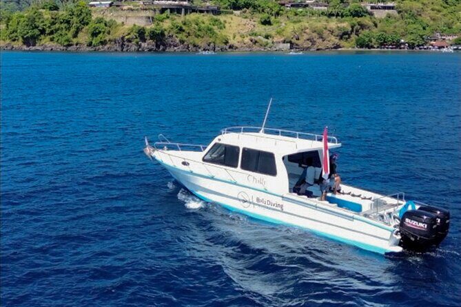 3 Epic Dives in Nusa Penida - Certified Divers' Day Trip - The Bali scuba academy setup: safety, small groups, and human guides