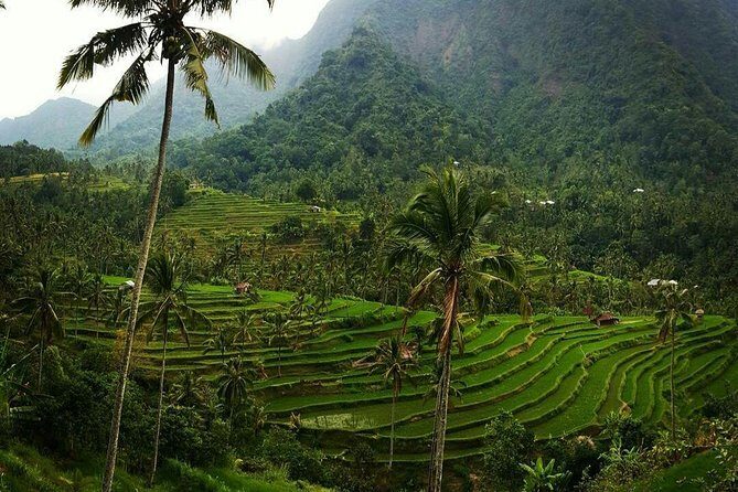 All inclusive Bali Sekumpul Waterfalls Trekking Tour - Sekumpul Waterfall: what 30 minutes is really for