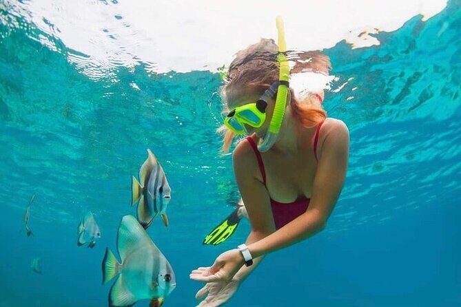 All Inclusive Blue Lagoon Snorkeling with Bali ATV Quad Adventure - Seminyak’s ATV + Blue Lagoon Combo: A Smart Mix of Adrenaline and Sea Life