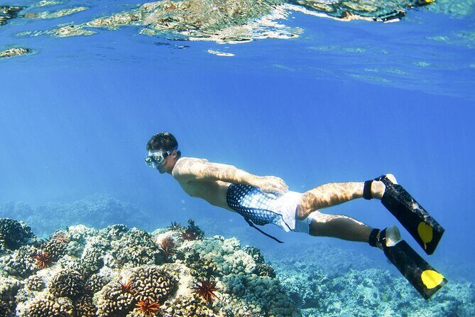 All Inclusive Blue Lagoon Snorkeling with Bali ATV Quad Adventure - Blue Lagoon Snorkeling: Clear Water, Coral, Fish, and Turtle Chances