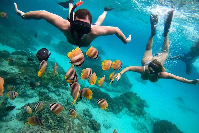 All Inclusive Blue Lagoon Snorkeling with Bali ATV Quad Adventure - Should You Book This Seminyak ATV + Blue Lagoon Snorkeling Tour?