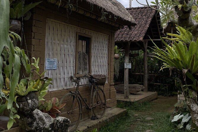 All Inclusive Ubud Cultural and Natural Highlights Tour - Tegalalang Rice Terraces: walking the paths for the best views