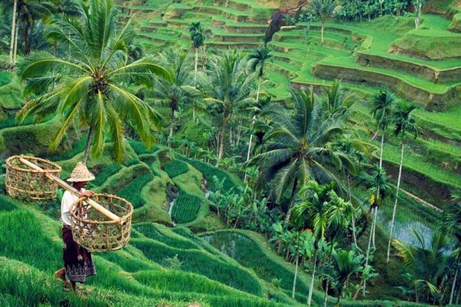 All inclusive Ubud private tour - Key takeaways