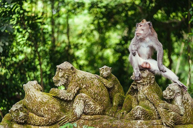 All inclusive Ubud private tour - Teba Sari Bali Agrotourism: coffee tasting with less mystery