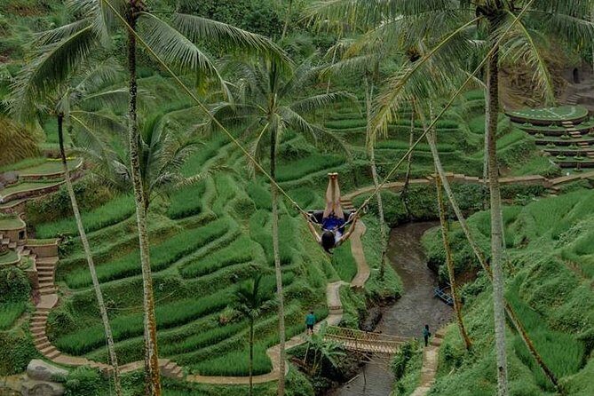 All inclusive Ubud private tour - Sacred Monkey Forest Sanctuary: what to expect beyond the cuteness