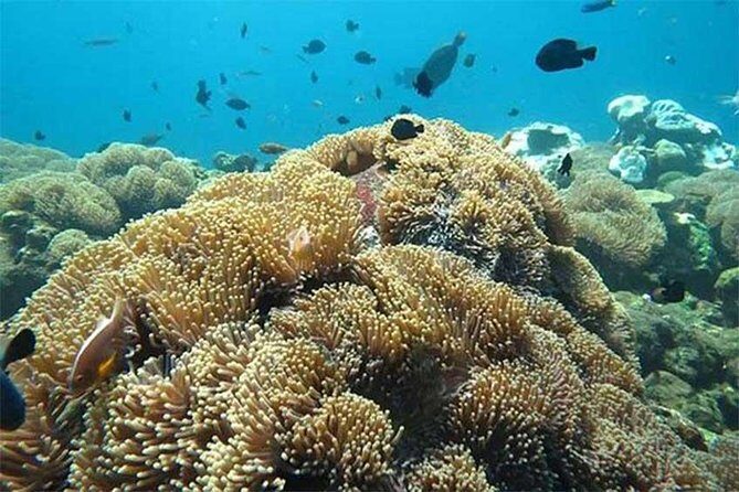 All Ticket Inclusive-Blue Lagoon Snorkeling-Ubud Monkey Forest & Ubud Waterfall - A One-Day Bali Nature Hit: Blue Lagoon, Monkey Forest, Tegenungan