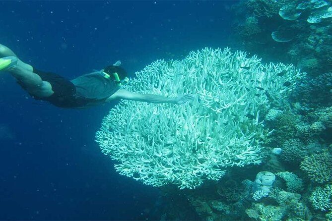 All Ticket Inclusive-Blue Lagoon Snorkeling-Ubud Monkey Forest & Ubud Waterfall - Food, showers, and why the included extras matter