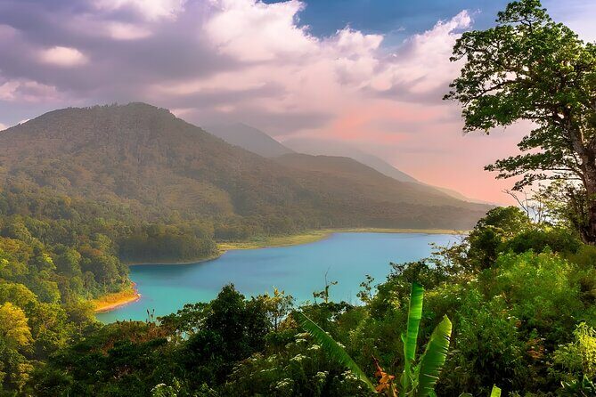 Amazing Bali Dolphin Watching Trip Experience - Private pickup and the 3:00am reality check