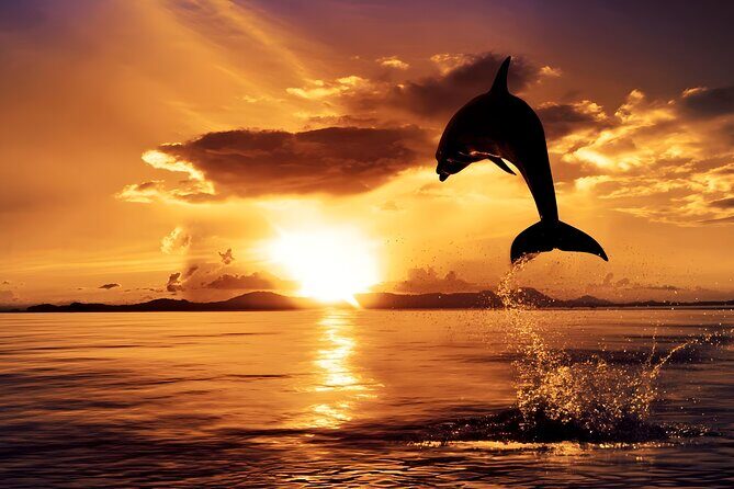 Amazing Bali Dolphin Watching Trip Experience - Lovina Dolphin Adventure: what the boat time is really like