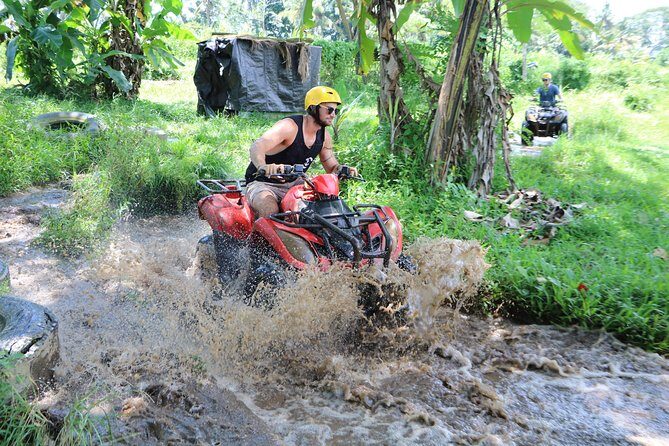 ATV Tour with Monkey Forest Experience in Bali - Sangeh Monkey Forest: close-up macaques and the rules that matter