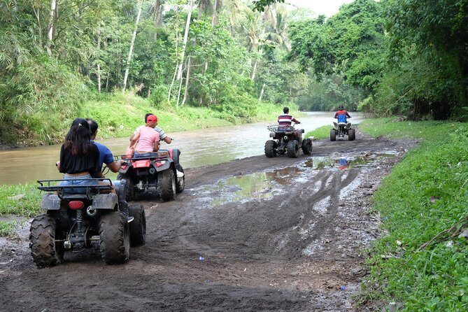 Bali Atv Quad Bike Through Tunnel and Waterfall - Teba Sari Coffee Plantation: Learning Coffee the Hands-On Way