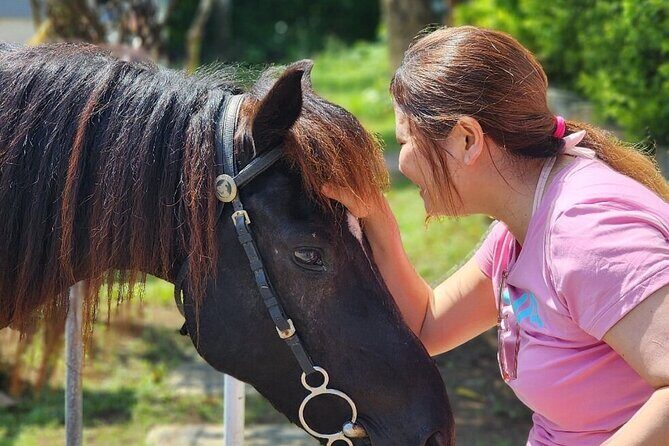 Bali Beach Horse Riding combo with waterfall All Inclusive - Who this Bali combo is best for