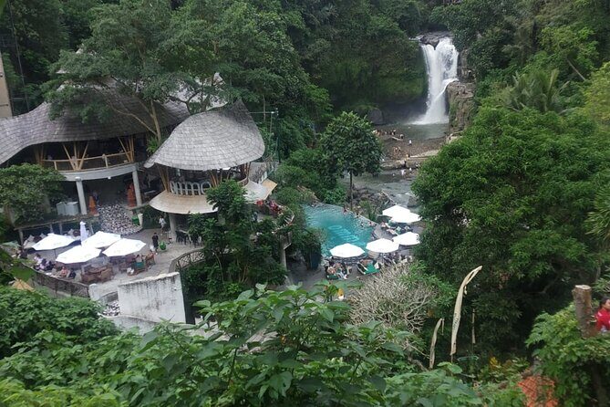 Bali Benoa Shore Excursion for cruise's passenger - All Inclusive - Tegalalang Rice Terraces: The view is famous for a reason