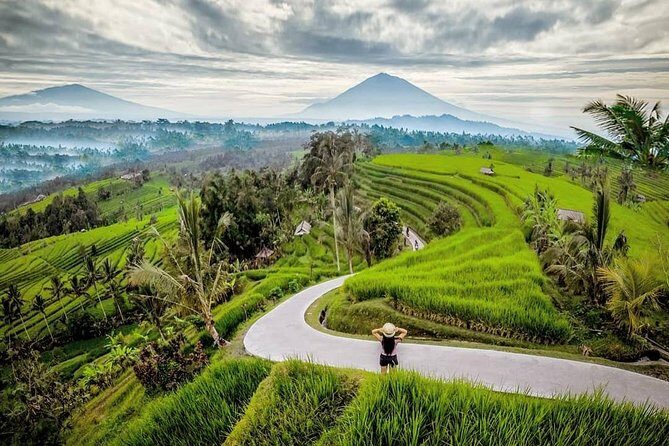 Bali BEST Things to Do Private Full-day Tour from Your Hotel - Tegalalang rice terraces (and a swing upgrade)