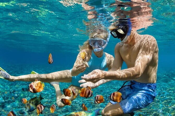 Bali Blue Lagoon Snorkeling and Waterfall Day Tour with Lunch - Lunch Included After Snorkeling: Indonesian Favorites Without Guesswork