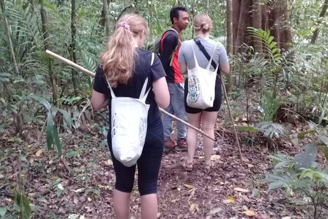 Bali Blue Lagoon Snorkeling and Waterfall Day Tour with Lunch - What’s Included (and What’s Not): The Real Value Mix