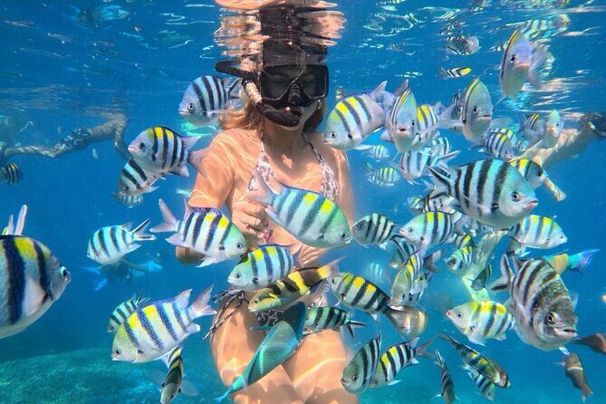 Bali Blue Lagoon Snorkeling - Lunch and Transport All Inclusive - Key Things That Make This Tour Worth Your Time