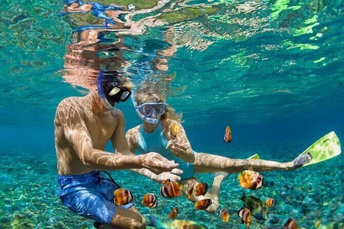 Bali Blue Lagoon Snorkeling - Lunch and Transport All Inclusive - Why This East Bali Combo Works So Well