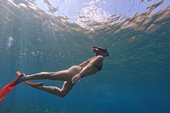 Bali Blue Lagoon Snorkeling - Lunch and Transport All Inclusive - The Coffee Plantation Stop: What You Learn About Balinese Coffee