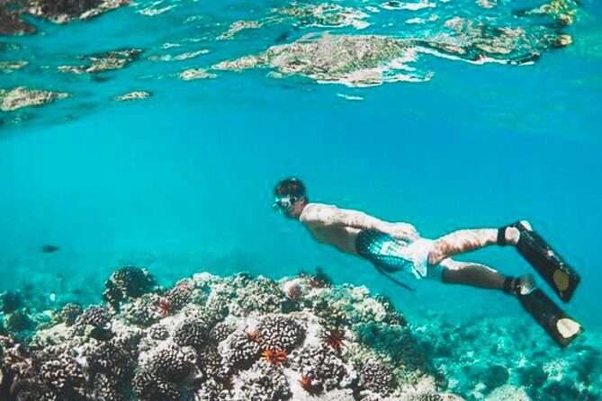 Bali Blue Lagoon Snorkeling - Lunch and Transport All Inclusive - Lunch by the Water: Simple, Included, and Actually Helpful