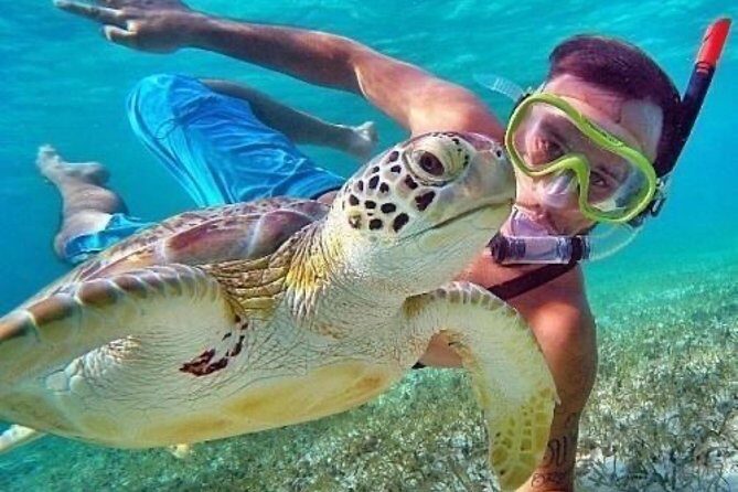 Bali Blue Lagoon Snorkeling - Lunch and Transport All Inclusive - Value and Price: How $39 Makes Sense for a Full Private Day