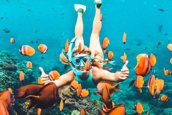Bali Blue Lagoon Snorkeling - Lunch and Transport All Inclusive - The Blue Lagoon and Tanjung Jepun Snorkeling Reality Check