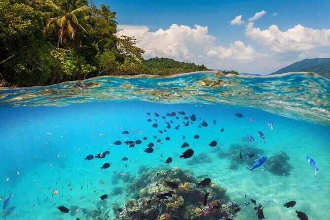 Bali Blue Lagoon Snorkeling Tour All Inclusive - Where You’ll Go: Blue Lagoon and Tanjung Jepun in One Day