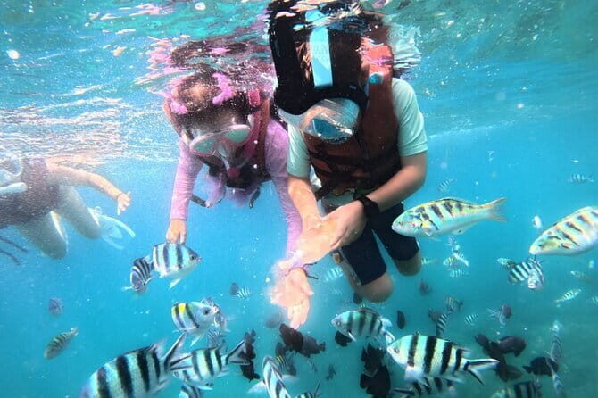 Bali Blue Lagoon Snorkeling Tour All Inclusive - Blue Lagoon Snorkeling: Coral, Fish, and Turtle Odds