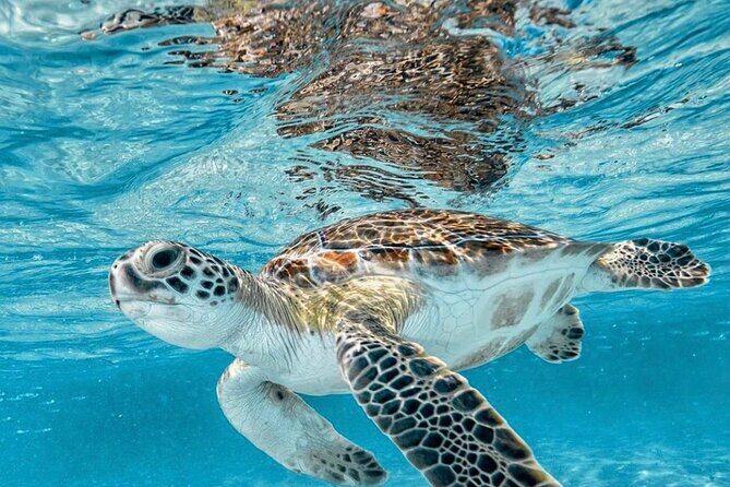 Bali Blue Lagoon Snorkeling with Optional Tour & Activities - Optional Add-Ons: Build a Full Day Without Starting Over