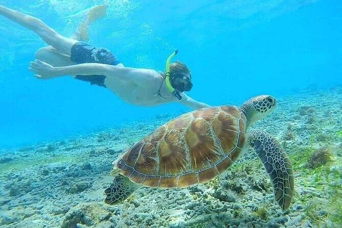 Bali Blue Lagoon Snorkeling with Private Transfer & Lunch - Traditional boat + safety gear: the stuff people don’t think about until later