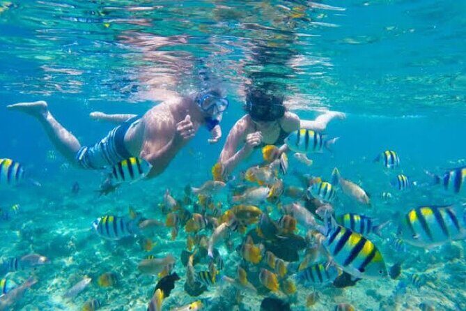Bali Blue Lagoon Snorkeling with Private Transfer & Lunch - Blue Lagoon Beach snorkeling: what you’ll actually see