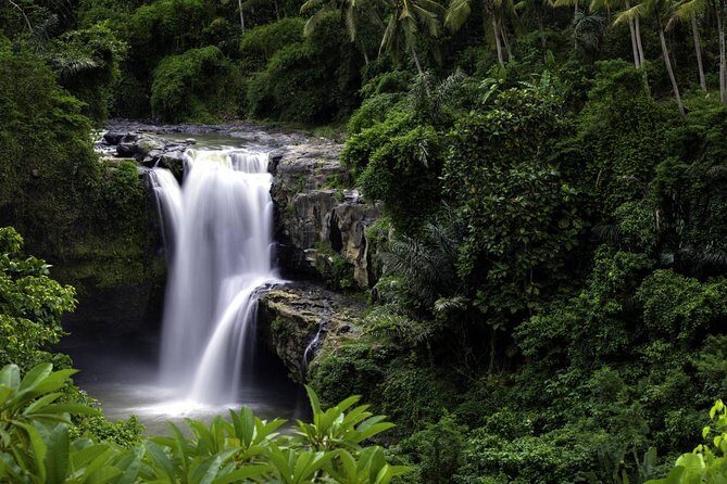 Bali Breathtaking Waterfall Tour (Private & All-Inclusive) - Who this tour fits best (and who might want to think twice)