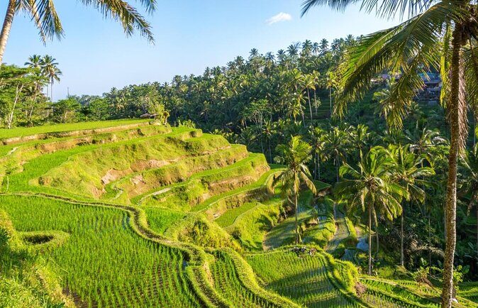 Bali Cooking Class Experience with All Inclusive - Key things that make this Bali day special
