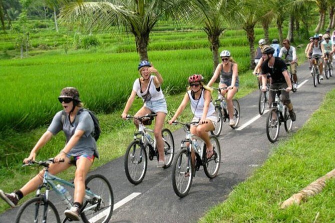 Bali Countryside Cycling Tour by Halo Bike Tour - From Kuta to the Countryside: AC Pickup and the Coffee Plantation Stop