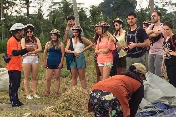Bali Countryside Cycling Tour by Halo Bike Tour - Who Should Book This Bali Countryside Cycling Tour?