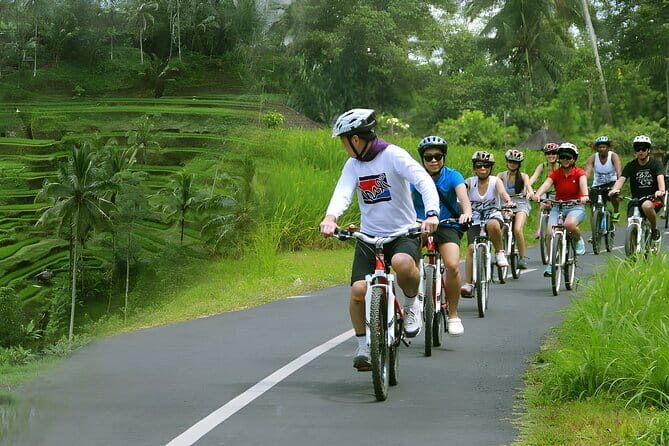 Bali Countryside Eco Cycling Tour include Lunch - Kemenuh Downhill Cycling: How Easy Is It, Really?