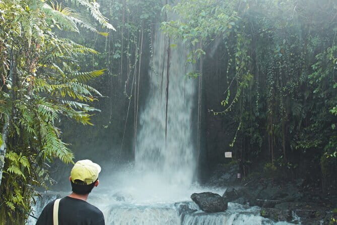 Bali Countryside Eco Cycling Tour include Lunch - Price and What Makes It Good Value at Around $78