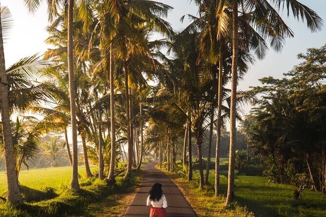 Bali Customized Tour Private Car and Driver - Stop 1: Ubud Art Market for instant Bali flavor