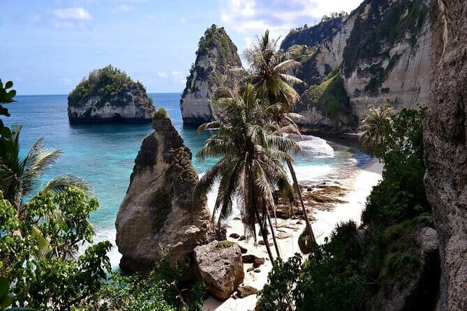 Bali Day Trip: Bali Instagram Tour (All Inclusive & Private) - Stop 4: Bali Swing and Bird Nest Tickets in the Jungle Air
