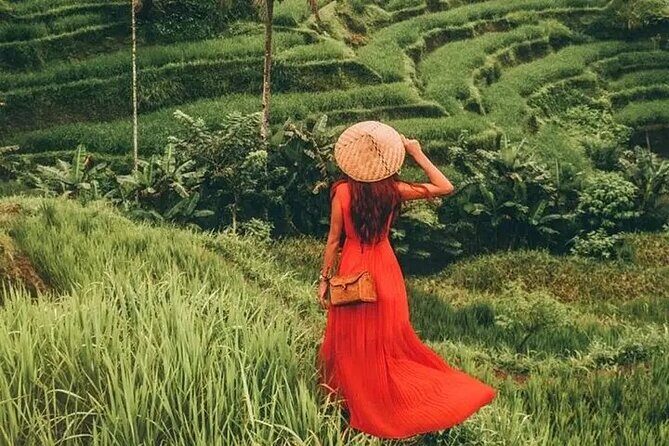 Bali Day Trip to Ubud Highlight Tour and Tanah Lot Temple - Price and Value: Why $85 Can Make Sense for This Day