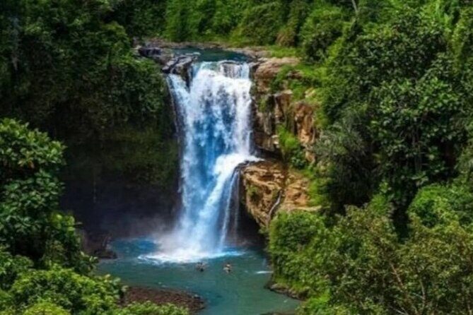 Bali Day Trip to Ubud Highlight Tour and Tanah Lot Temple - What the “Private Group” Really Changes
