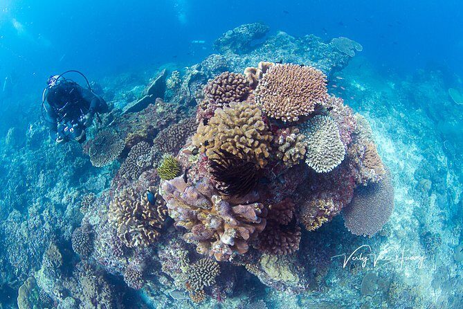 Bali Diving Day Trip-Manta Point/Tulamben Shipwreck-Fun Dive - USAT Liberty shipwreck: what you’ll see below the surface