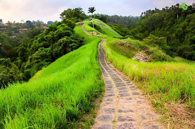 Bali Full Day-Tour: Ubud Sightseeing Trip - Pickup and Transfers From Seminyak: More Than a Convenience