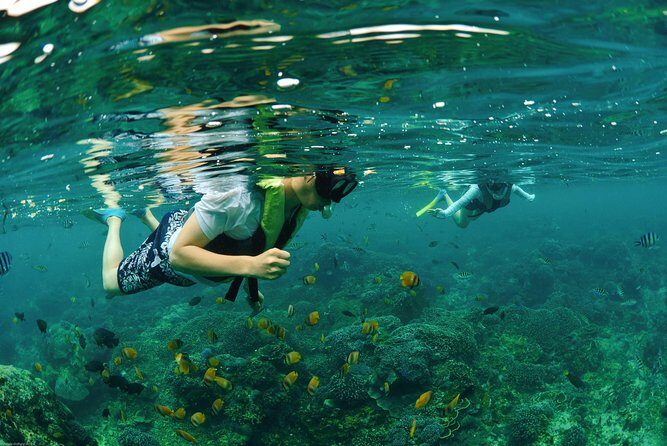 Bali Hai - Reef Cruise - Transfers from Ubud and south Bali: punctuality you can actually use