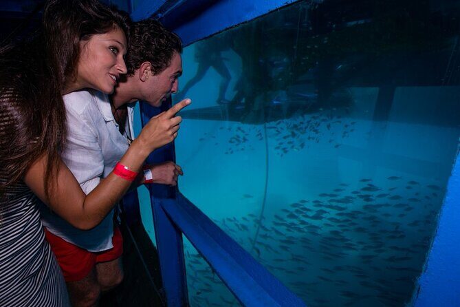 Bali Hai - Reef Cruise - Price and value: what $143 buys you in a real day