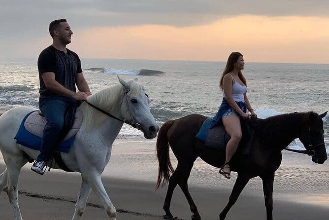 Bali Horse Riding Seminyak Beach Experience Private Transport - Key points to know before you go