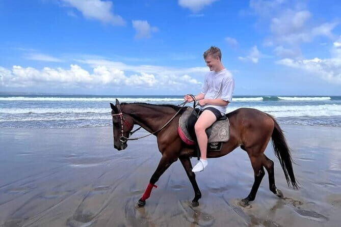 Bali Horse Riding Seminyak Beach Experience Private Transport - Choosing Your Ride Time: Morning vs Afternoon vs Sunset